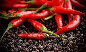 辣椒giga在线视频,辣味盛宴，视觉与味蕾的双重冲击