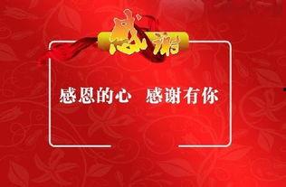 在线视频精品你懂得,精品内容背后的故事