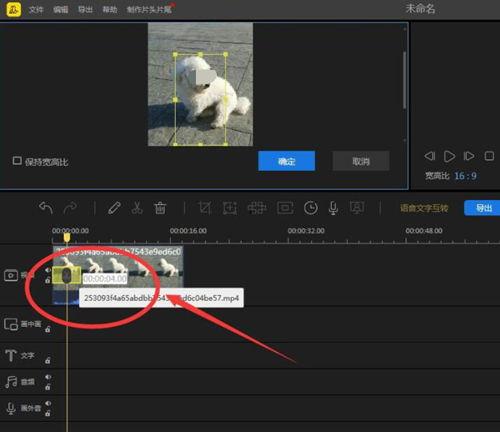 蜜蜂在线视频剪辑,揭秘蜂群智慧与自然之美