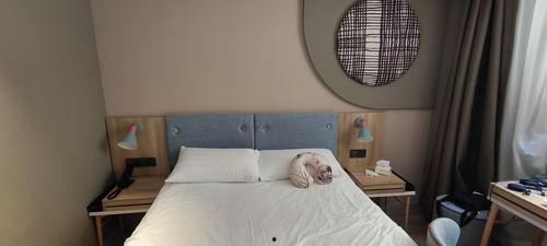 酒店在线视频高清,酒店在线高清视频带你领略奢华住宿魅力