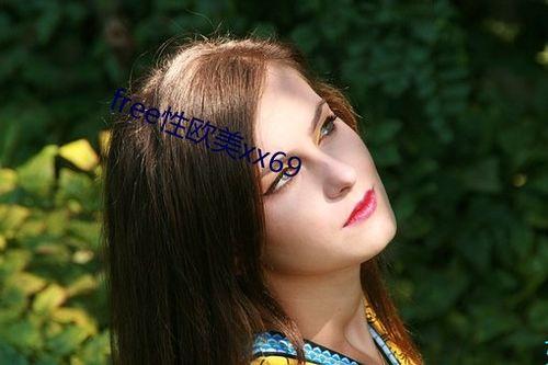 性欧美free在线视频,探索欧美免费在线视频的精彩世界