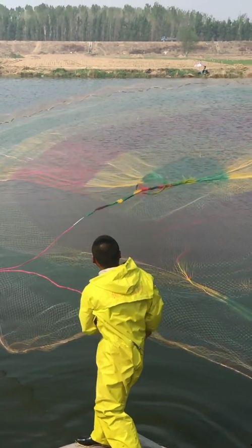 嘘嘘色在线视频,带你领略虚拟世界的激情与诱惑